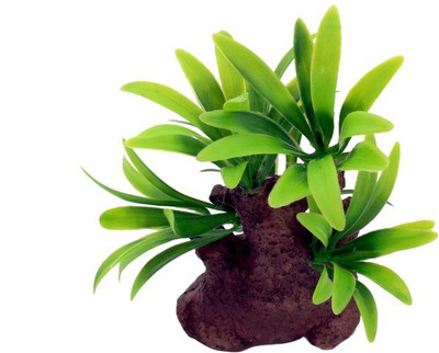 Jainsons Pet Products Decoration Artificial Plastic Resin Ornament SZ-501 Aquarium Plant Anchor({Plant Anchors1)
Jainsons Pet Products Decoration Artificial Plastic Resin Ornament SZ-501 Aquarium Plant Anchor({Plant Anchors1)