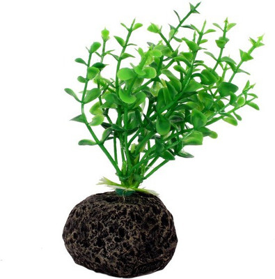 Jainsons Pet Products Decoration Artificial Plastic Resin Ornament SC-460 Aquarium Plant Anchor({Plant Anchors1)
Jainsons Pet Products Decoration Artificial Plastic Resin Ornament SC-460 Aquarium Plant Anchor({Plant Anchors1)