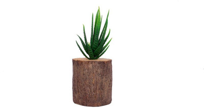 Jainsons Pet Products Decoration Artificial Plastic Resin Ornament SC-737A Aquarium Plant Anchor({Plant Anchors1)
Jainsons Pet Products Decoration Artificial Plastic Resin Ornament SC-737A Aquarium Plant Anchor({Plant Anchors1)