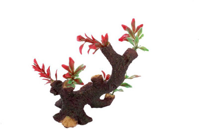 Jainsons Pet Products Decoration Artificial Plastic Resin Ornament GL-1269 Aquarium Plant Anchor({Plant Anchors1)
Jainsons Pet Products Decoration Artificial Plastic Resin Ornament GL-1269 Aquarium Plant Anchor({Plant Anchors1)
