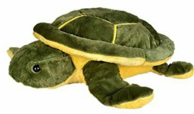 soniya Enterprises tortoise - 55 cm(Green)