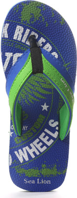 Sea Lion Flip Flops, Green::blue