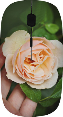 ROBMOB High Quality RBMB-1006 Wireless Optical Mouse(USB, Multicolor)
ROBMOB High Quality RBMB-1006 Wireless Optical Mouse(USB, Multicolor)