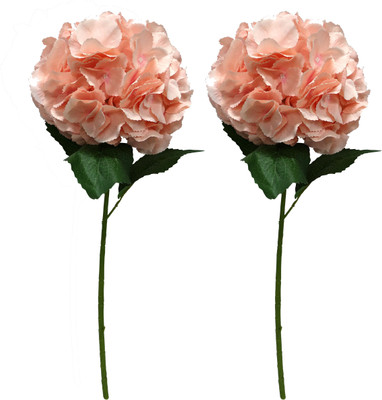 Ace Flowers Multicolor Assorted Artificial Flower(25 inch, Pack of 2)
Ace Flowers Multicolor Assorted Artificial Flower(25 inch, Pack of 2)