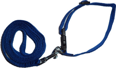 Yellow Bell Yellow Bell 4G Dog Collar & Leash Dog Collar & Leash(, Multicolor
Yellow Bell Yellow Bell 4G Dog Collar & Leash Dog Collar & Leash(, Multicolor