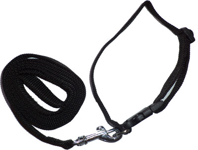 Yellow Bell Yellow Bell 4G Dog Collar & Leash Dog Collar & Leash(, Multicolor
Yellow Bell Yellow Bell 4G Dog Collar & Leash Dog Collar & Leash(, Multicolor