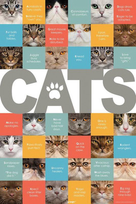 RadhaKripa cat posters with sayings Poster Paper Print(18 inch X 12 inch, Rolled)
RadhaKripa cat posters with sayings Poster Paper Print(18 inch X 12 inch, Rolled)