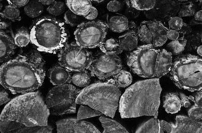 RadhaKripa black and white wood Poster Paper Print(18 inch X 12 inch, Rolled)