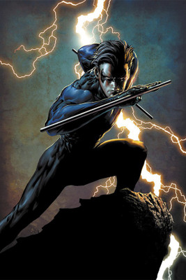 RadhaKripa nightwing Poster Paper Print(18 inch X 12 inch, Rolled)