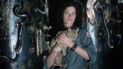 Akhuratha Poster Movie Alien Sigourney Weaver Ellen Ripley HD Wallpaper Background Fine Art Print(12 inch X 18 inch, Rolled)
Akhuratha Poster Movie Alien Sigourney Weaver Ellen Ripley HD Wallpaper Background Fine Art Print(12 inch X 18 inch, Rolled)