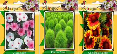 Airex Vinca, Kochia, and Gaillardia Seed(20 per packet)