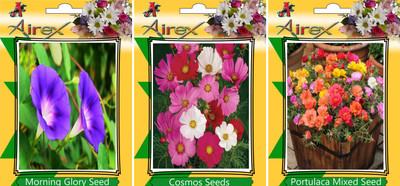 Airex Morning Glory, Cosmos Mixed, and Portulaca Mixed Seed(20 per packet)