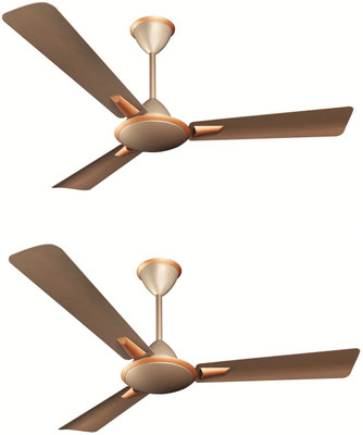 Crompton Aura Prime Anti Dust Pack of 2 3 Blade Ceiling Fan(Butter Scotch, Pack of 2), White
Crompton Aura Prime Anti Dust Pack of 2 3 Blade Ceiling Fan(Butter Scotch, Pack of 2), White