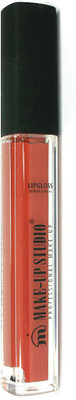 Make Up Studio Paint Lip Gloss(4 ml, Rose Wood)