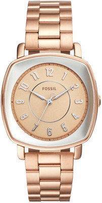 Fossil ES4195 IDEALIST Watch - For Women