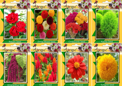 Airex Balsam, Zinnia Mixed, Cockscomb, Kochia, Amaranthus, Celosia, Tithonia, and Sungold Seed(15 per packet)
Airex Balsam, Zinnia Mixed, Cockscomb, Kochia, Amaranthus, Celosia, Tithonia, and Sungold Seed(15 per packet)
