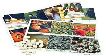 Keeping Busy Pumpkin, Sunflower, Poppy Match The Photos - Engaging Activity For Dementia And Alzheimer'S(Multicolor)
Keeping Busy Pumpkin, Sunflower, Poppy Match The Photos - Engaging Activity For Dementia And Alzheimer'S(Multicolor)