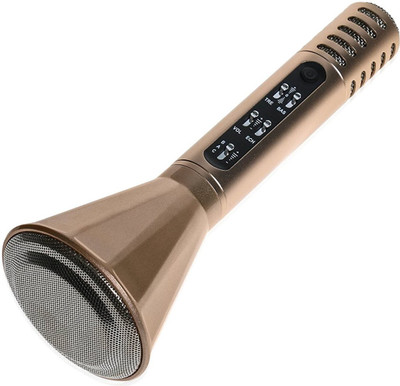 Maya PA_079 Microphone