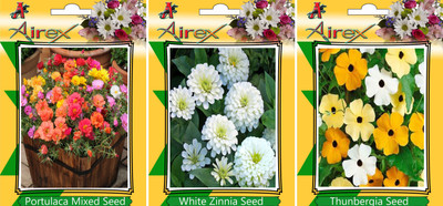 Airex Portulaca Mixed, White Zinnia, Thunbergia Seed(20 per packet)