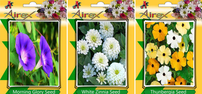 Airex Morning Glory, White Zinnia, Thunbergia Seed(15 per packet)