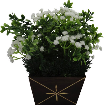 Ace Flowers Multicolor Wild Flower Artificial Flower with Pot(6.9 inch, Pack of 1)
Ace Flowers Multicolor Wild Flower Artificial Flower with Pot(6.9 inch, Pack of 1)
