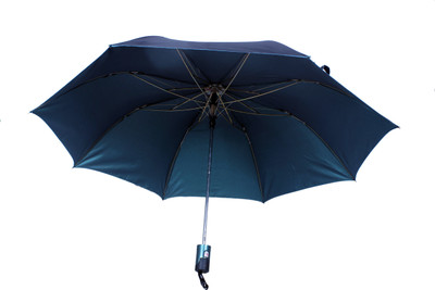 Citizen 24.5 Mettallic Auto Umbrella(Blue)