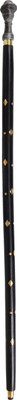 Varda DAN20 Walking Stick