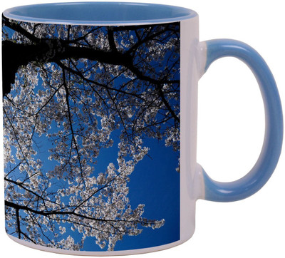 Arkist a look up at the cherry blossoms wallpaper x Ceramic Mug(340 ml), Multicolor
Arkist a look up at the cherry blossoms wallpaper x Ceramic Mug(340 ml), Multicolor