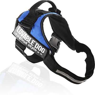 PetsUp dog body harness for labrador and medium dogs belt collar Dog Standard Harness(, Blue
PetsUp dog body harness for labrador and medium dogs belt collar Dog Standard Harness(, Blue