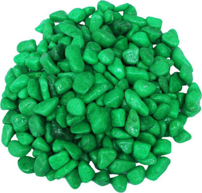 shalimar pets Aquarium Decorative Pebbles Stones River Rock Unplanted Substrate(Green)
shalimar pets Aquarium Decorative Pebbles Stones River Rock Unplanted Substrate(Green)