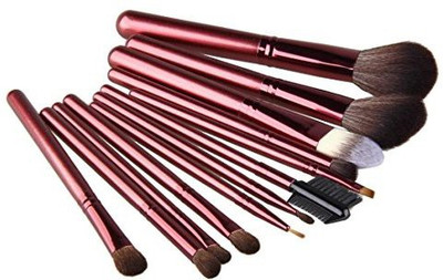 Overmal Cosmetic Brush Makeup Brush Sets(Pack of 12)