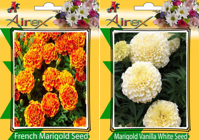 Airex French Marigold, White Marigold Seed(25 per packet)