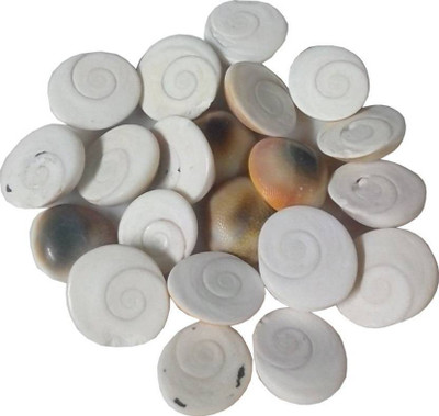 Kraft Village Gomti Chakra 40 Pcs Small Size Decorative Showpiece - 1 cm(Alloy, White)
Kraft Village Gomti Chakra 40 Pcs Small Size Decorative Showpiece - 1 cm(Alloy, White)