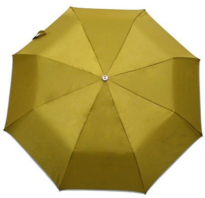 Meet B10 Umbrella(Bronze)