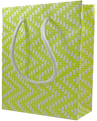 PapertoBag Printed Party Bag(Green, Pack of 20)