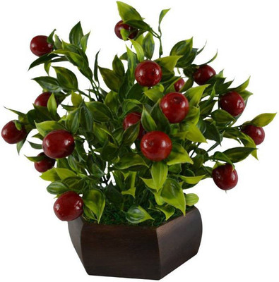 uc Artificial Flower Multicolor Assorted Artificial Flower with Pot(3.3 inch, Pack of 1)
uc Artificial Flower Multicolor Assorted Artificial Flower with Pot(3.3 inch, Pack of 1)