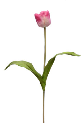 Roopray Pink Tulips Artificial Flower(45 inch, Pack of 1)