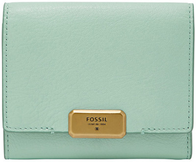 Fossil Green Clutch
Fossil Green Clutch
