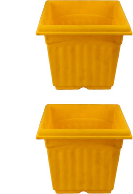 Garden's Need Square Pot With Drip Tray Plant Container Set(Pack of 2, Plastic)
Garden's Need Square Pot With Drip Tray Plant Container Set(Pack of 2, Plastic)