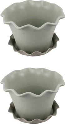 Garden's Need Orchid Pot With Drip Tray Plant Container Set(Pack of 2, Plastic)
Garden's Need Orchid Pot With Drip Tray Plant Container Set(Pack of 2, Plastic)