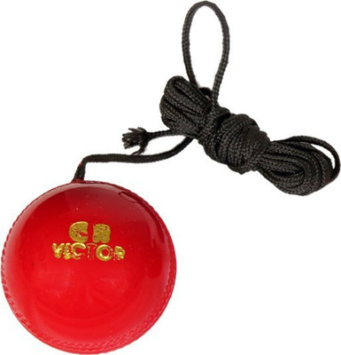 GB Hanging & Knocking Cricket Training Ball(Pack of 1, Red)