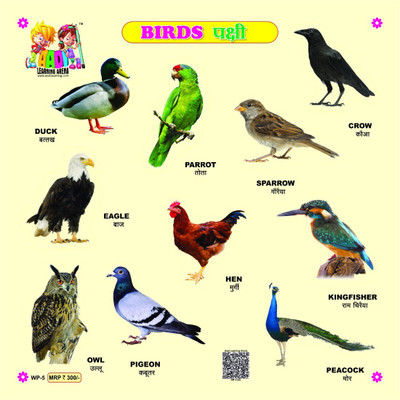 Aadi Publications Montessori Educational Learning Toys Wooden Birds Puzzle(Multicolor)
Aadi Publications Montessori Educational Learning Toys Wooden Birds Puzzle(Multicolor)