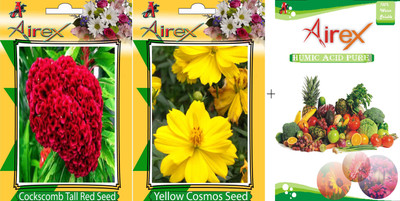 AIrex Cockscomb Tall Red, Yellow Cosmos Seed(20 per packet)