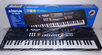 Goyal Big Fun Electronic Keyboard (Multicolor)(Multicolor)