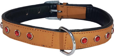 Petshop7 Export Quality Genuine Leather Dog Collar with Big Diamonds 1.25"in" Brown Dog Everyday Collar(, Beige
Petshop7 Export Quality Genuine Leather Dog Collar with Big Diamonds 1.25"in" Brown Dog Everyday Collar(, Beige
