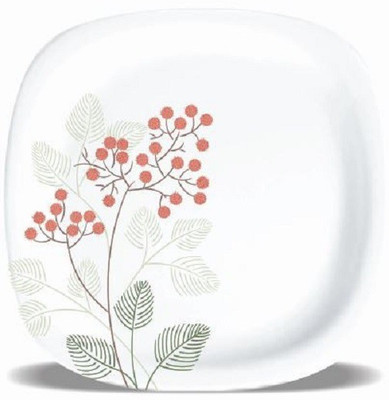 Floranso FROST 53A Melamine Dinner Plates(Pack of 6)