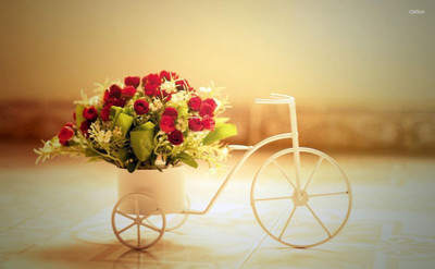 FLOWER POT POSTER HD Wallpaper Background Fine Art Paper DECORATION ON 24X36 Photographic Paper(36 inch X 24 inch, Rolled)
FLOWER POT POSTER HD Wallpaper Background Fine Art Paper DECORATION ON 24X36 Photographic Paper(36 inch X 24 inch, Rolled)