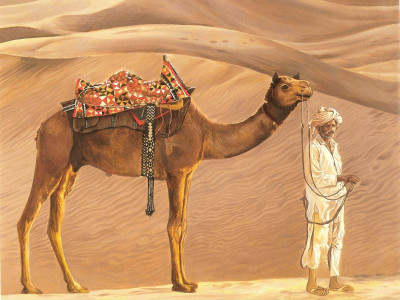 DIGITAL PAINTING WALL HD WALLPAPER ART PAPER MAN WITH CAMEL ON 24X36 Photographic Paper(36 inch X 24 inch, Rolled)
DIGITAL PAINTING WALL HD WALLPAPER ART PAPER MAN WITH CAMEL ON 24X36 Photographic Paper(36 inch X 24 inch, Rolled)