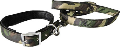 pet centre Dog Collar & Leash(, Green