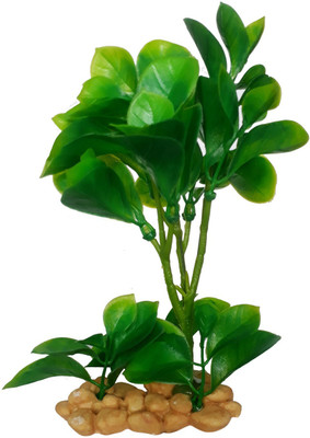SRI Fish Aquarium Decorative Artificial Plastic Plant Laterite Planted Substrate(Green)
SRI Fish Aquarium Decorative Artificial Plastic Plant Laterite Planted Substrate(Green)